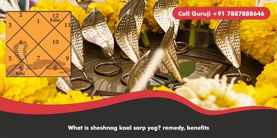 What is sheshnag kaal sarp yog? remedy, benefits