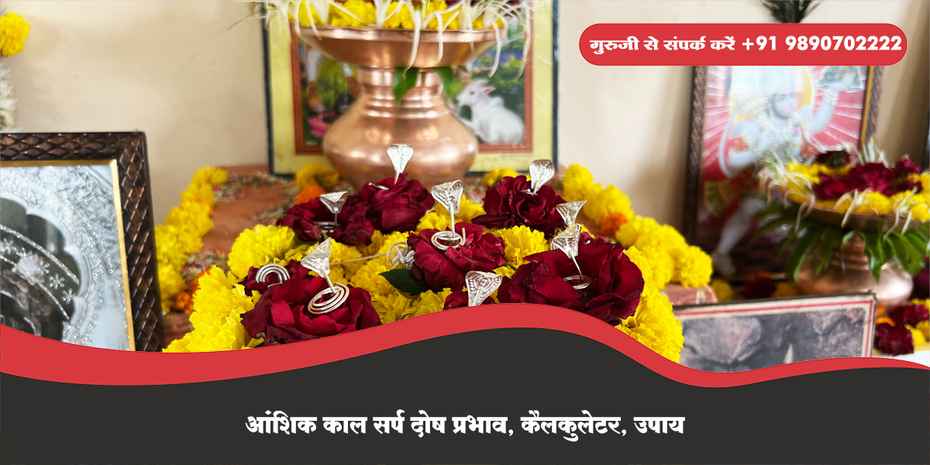 आंशिक काल सर्प दोष प्रभाव, कैलकुलेटर, उपाय