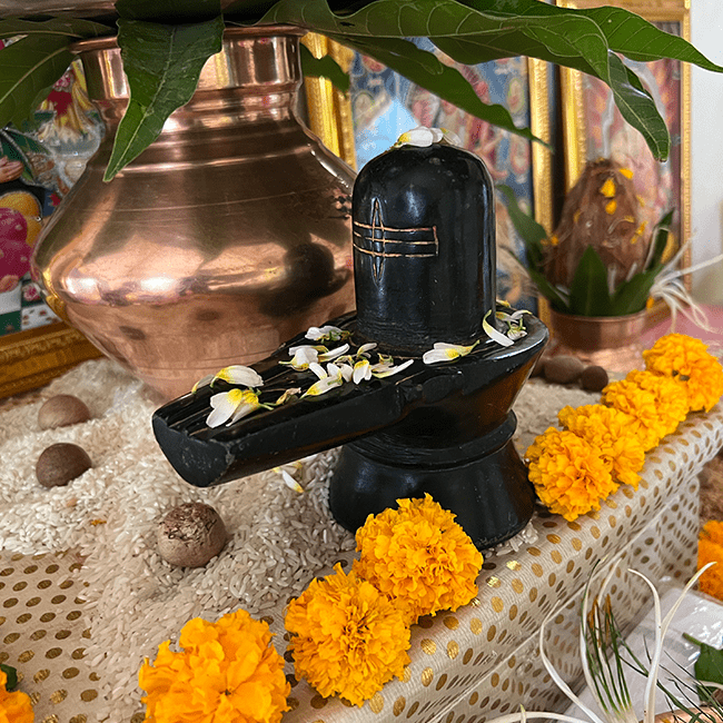 Narayan Nagbali Pandit Trimbakeshwar 