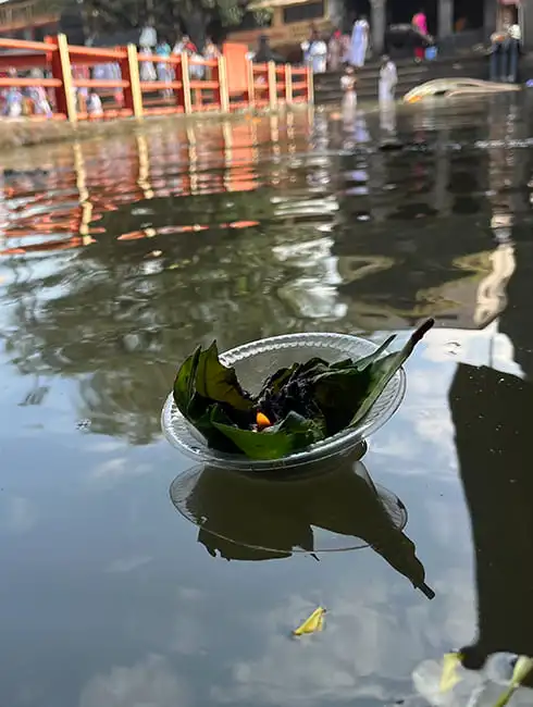 Pitra Dosh Puja
