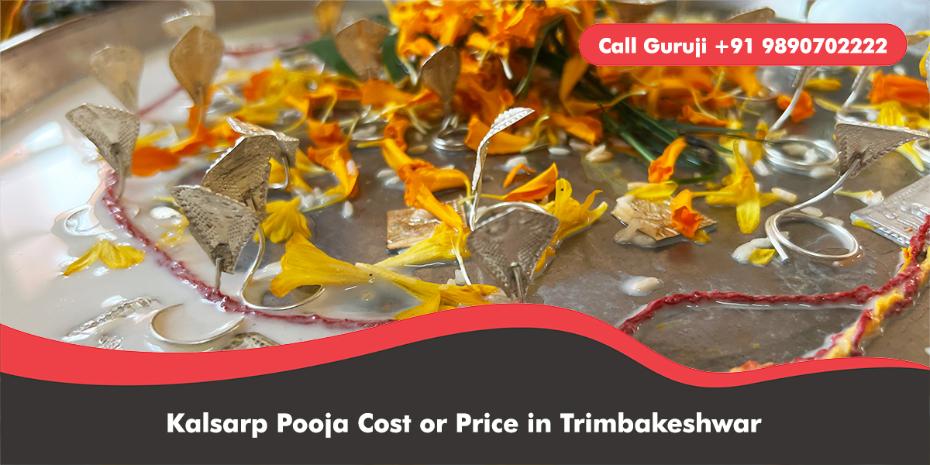 Kalsarp Pooja Cost or Price in Trimbakeshwar