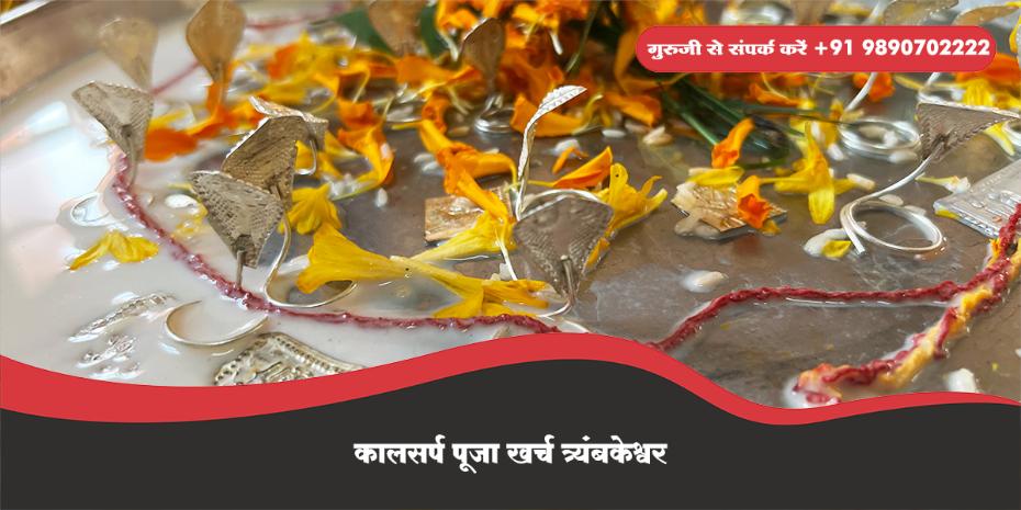 कालसर्प पूजा खर्च त्र्यंबकेश्वर