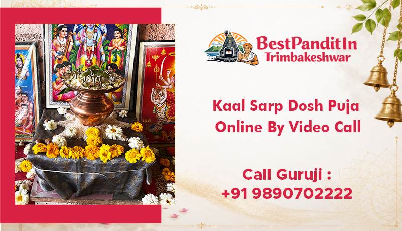 Kaal Sarp Dosh Puja Online By Video Call