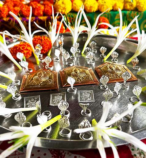 Narayan Nagbali Pandit Trimbakeshwar