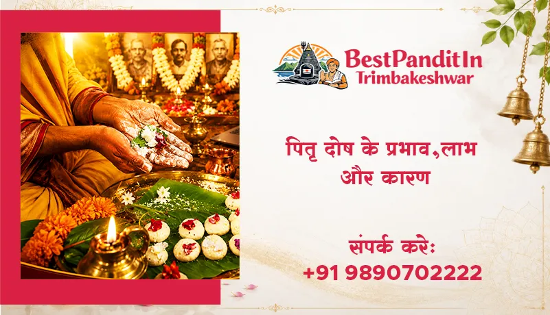 पितृ दोष के प्रभाव, लाभ और कारण